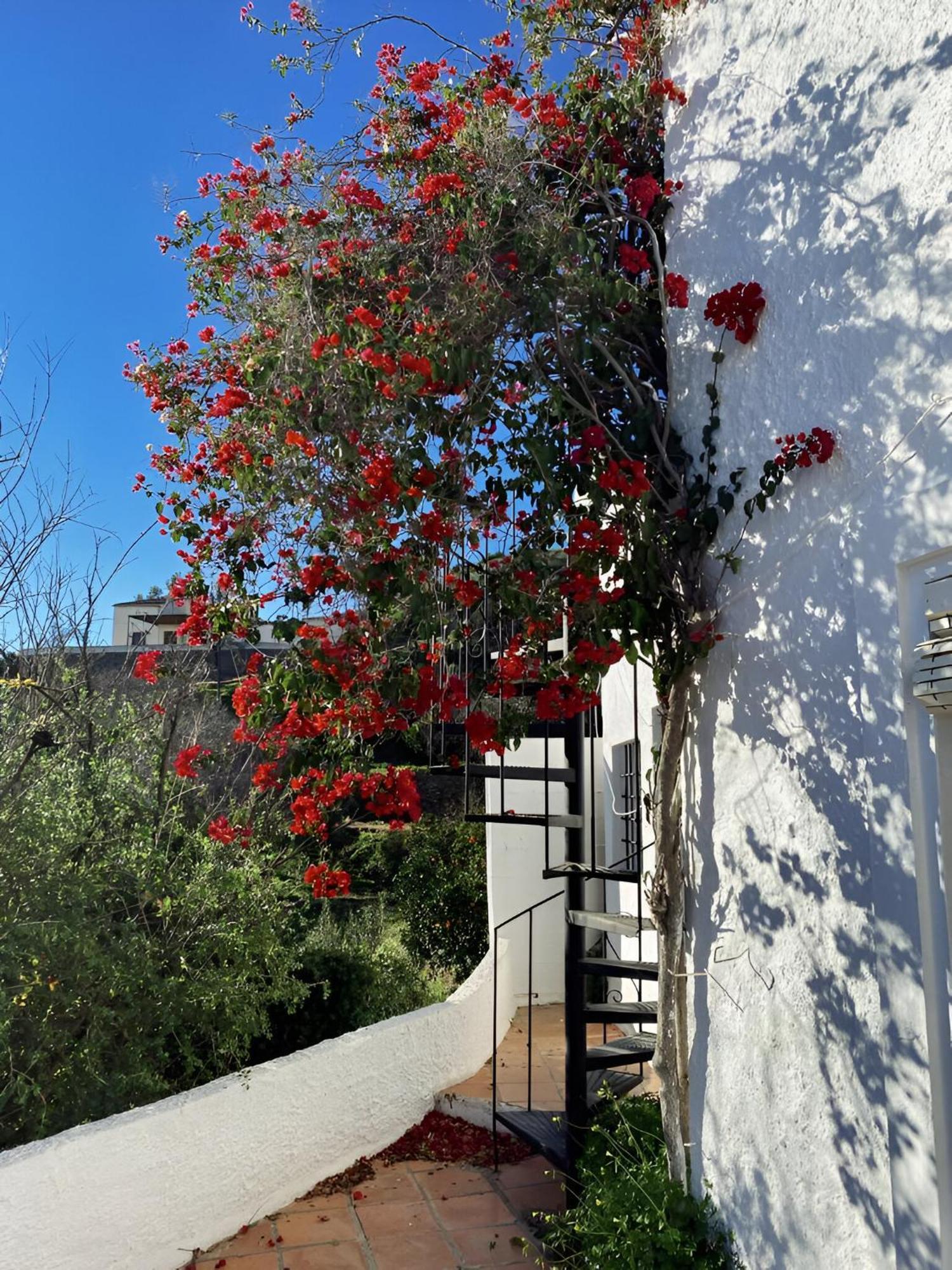 Villa Cortijo De La Fuente Con Vistas Impresionantes Y Playas A 20 Minutos Bédar Exterior foto